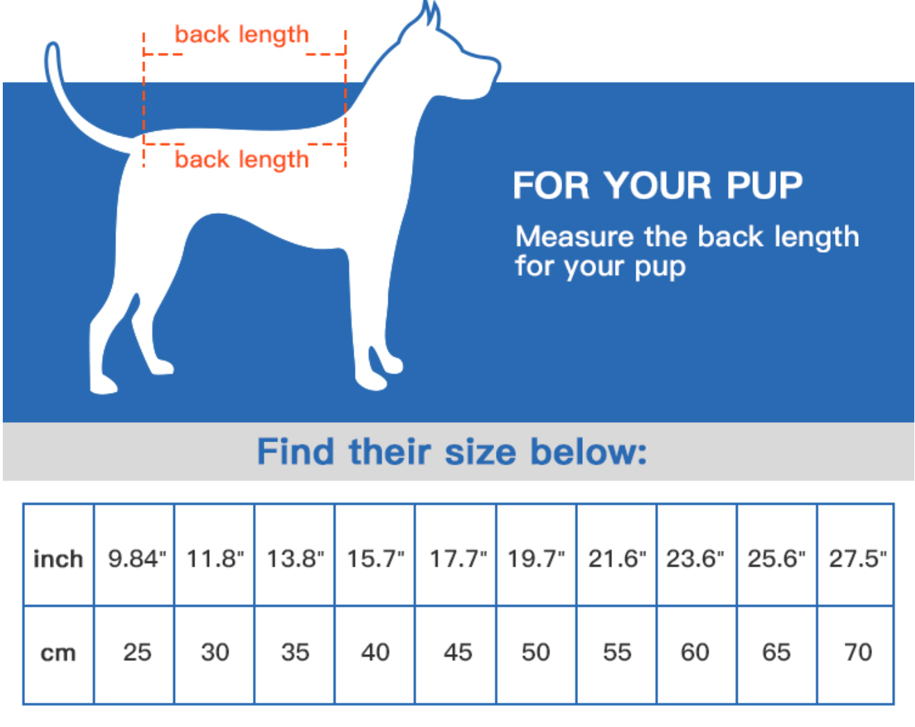 dog cooling vest (4)