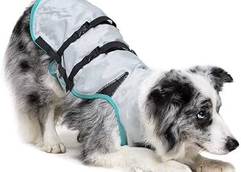 Do Dog Cooling Vests Work?